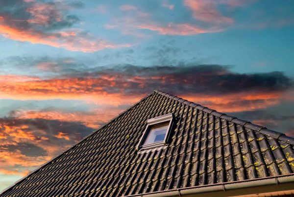 Roof Windows for Boarded Lofts